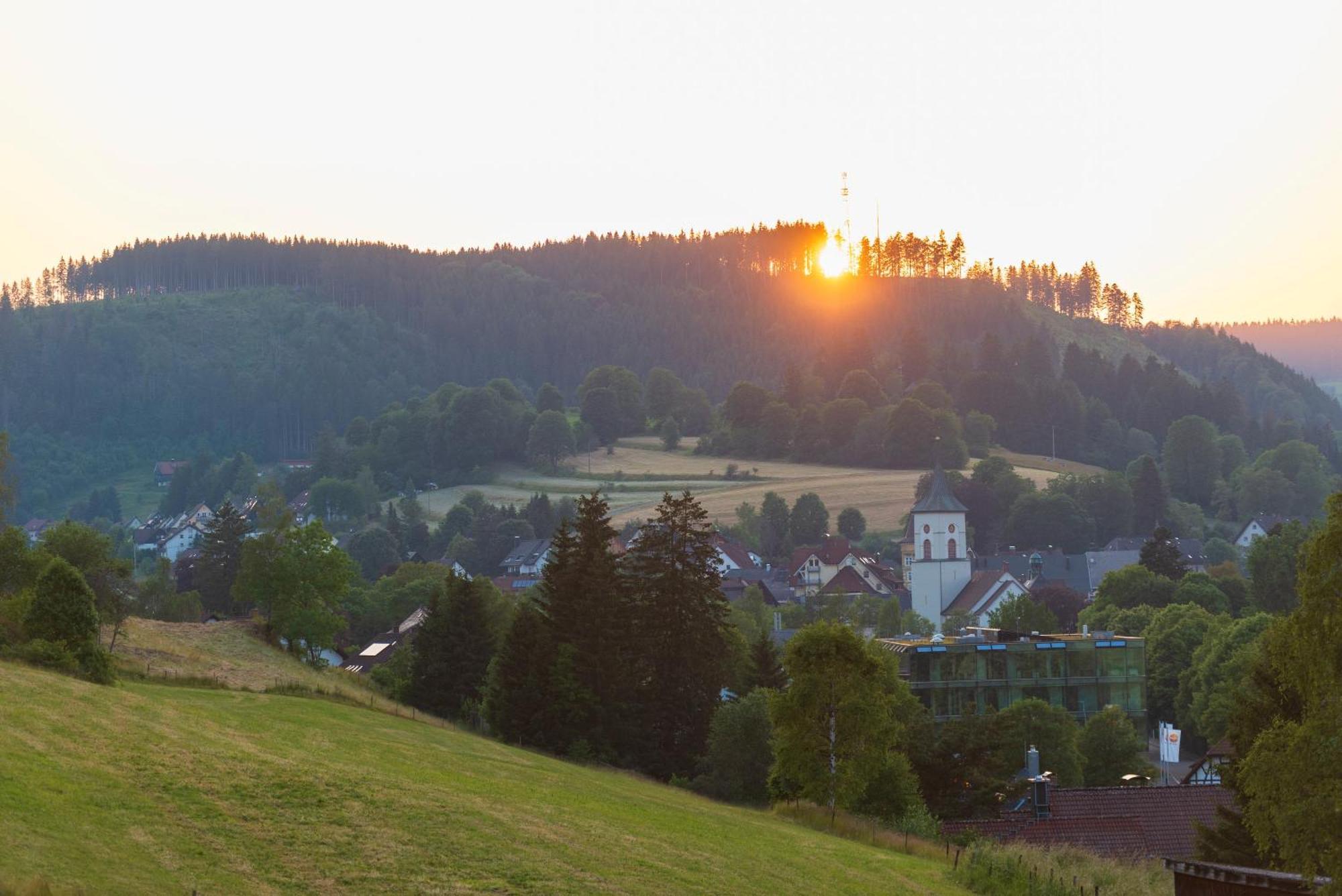 Ferienwohnung Waelderliebe Lenzkirch Eksteriør billede